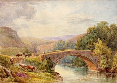 Lewisburn Bridge, North Tyne door Julia Swinburne